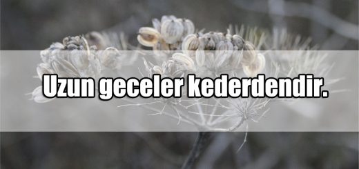 Üç Kelimelik Sözler