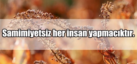 Yapmacık insanlara Sözler