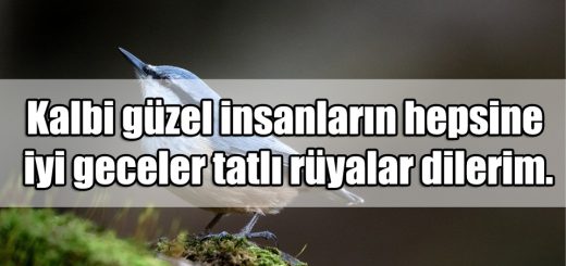 iyi Geceler Yazıları