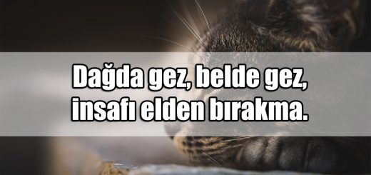 insaf ile ilgili Sözler