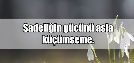 Küçümsemek ile ilgili Sözler