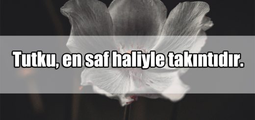 Takıntı ile ilgili Sözler