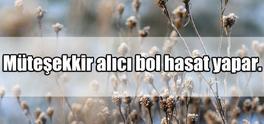 Hasat ile ilgili Sözler