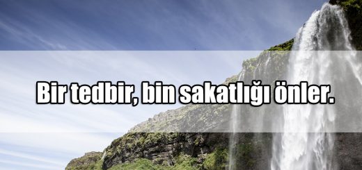 Tedbir ile ilgili Sözler