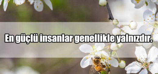 En Güzel Paylaşılan Etkileyici Sözler