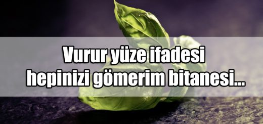 En Güzel Vurur Yüze ifadesi Sözleri