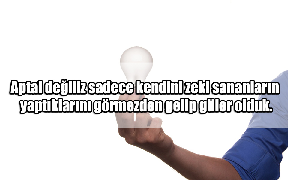 En Güzel Kendini Zeki Sananlara Sözler