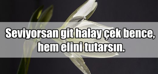 En Güzel Halay ile ilgili Sözler