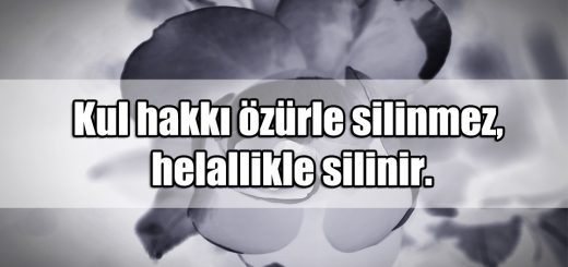 En Güzel Kul Hakkı ile ilgili Sözler