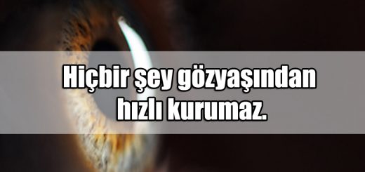 En Güzel Gözler ile ilgili Sözler