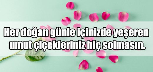 En Güzel Çiçek ile ilgili Sözler