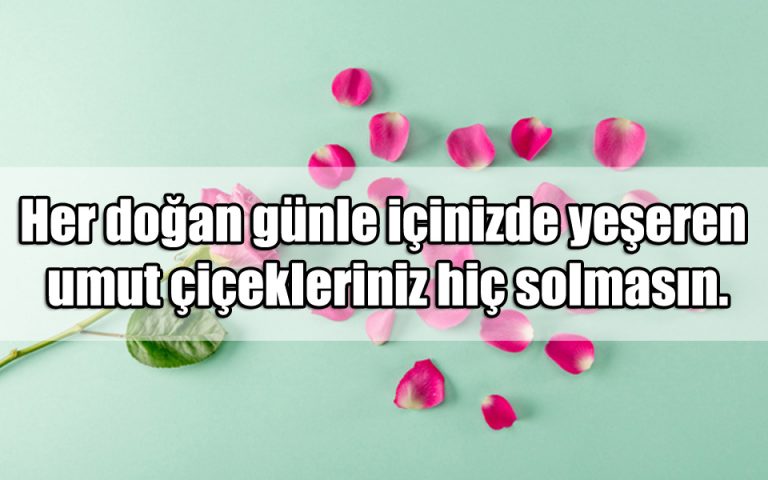 En Güzel Çiçek İle İlgili Sözler | Aşk Sözleri, Güzel Sözler, Anlamlı ...