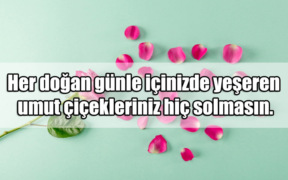 En Güzel Çiçek ile ilgili Sözler