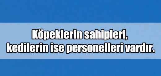 En Güzel Kediler ile ilgili Sözler