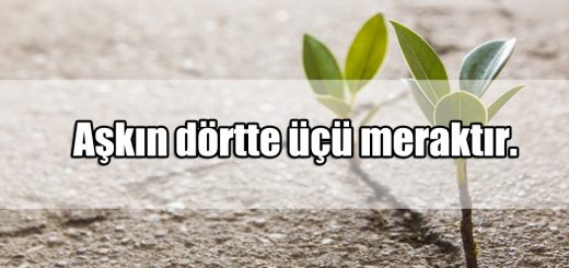 En Güzel Merak ile ilgili Sözler