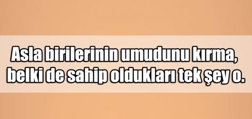 En Güzel ilgi Çekici ile ilgili Sözler