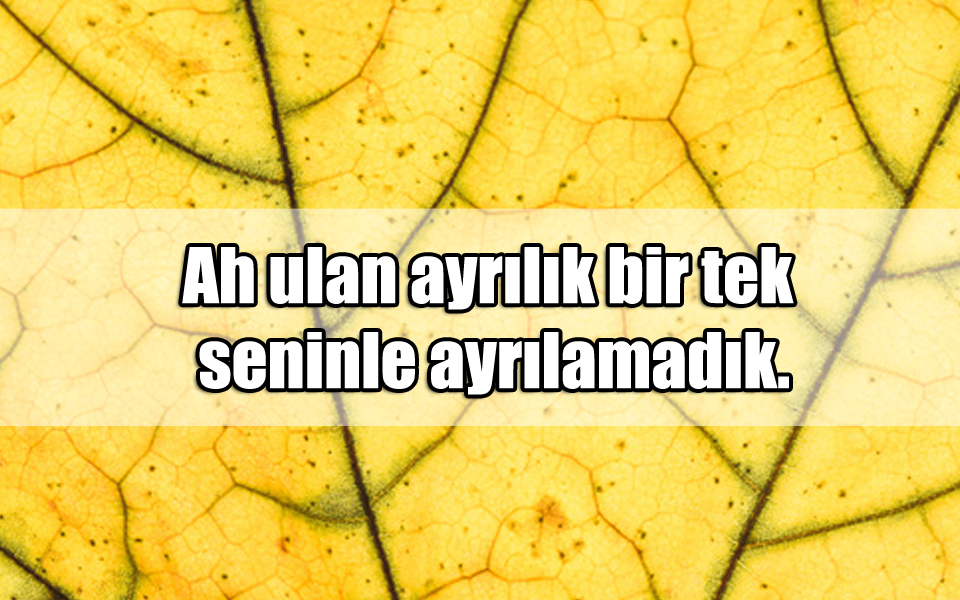 En Güzel Damardan ile ilgili Sözler