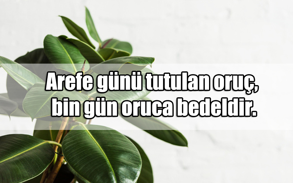 En Güzel Arefe ile ilgili Sözler