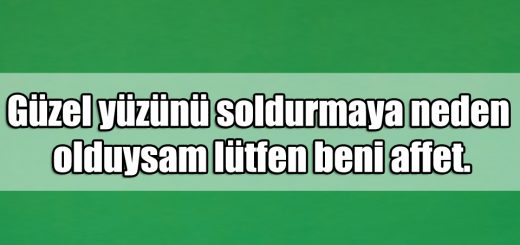 En Güzel Arkadaşa Özür ile ilgili Sözler