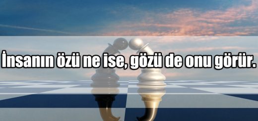 En Güzel Mantıklı ile ilgili Sözler