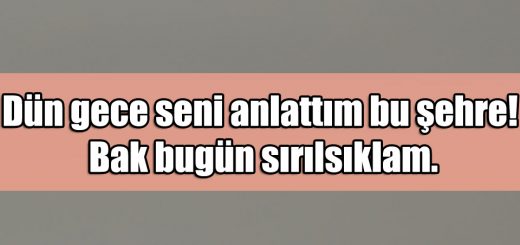 En Güzel Sırıksıklam Aşk ile ilgili Sözler