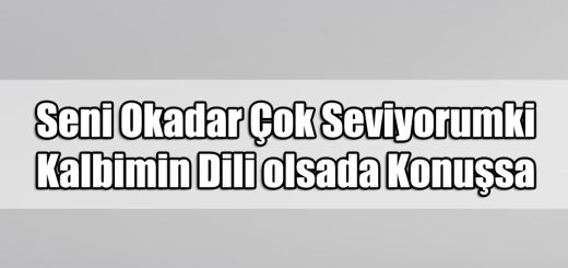 En Güzel Neşeli ile ilgili Sözler