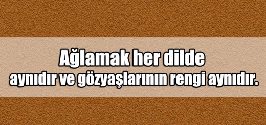 En Güzel Ağlamak ile ilgili Sözler