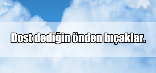 En Güzel Dost Kazığı ile ilgili Sözler