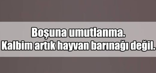 En Güzel iğneli ile ilgili Sözler