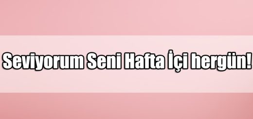 En Güzel Çılgın ile ilgili Sözler