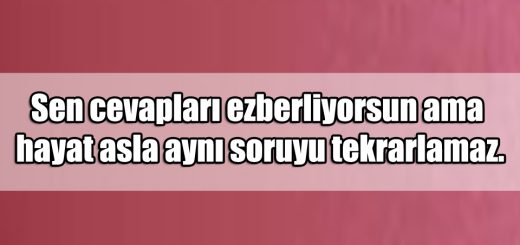 En Güzel Anlayış ile ilgili Sözler