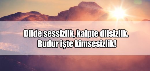 En Güzel Kimsesizlik ile ilgili Sözler